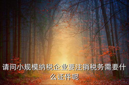 請問小規模納稅企業要注銷稅務需要什么證件呢
