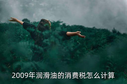汽油消費稅如何計算公式，2009年潤滑油的消費稅怎么計算
