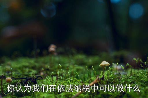 如何做到依法納稅，你認為我們在依法納稅中可以做什么