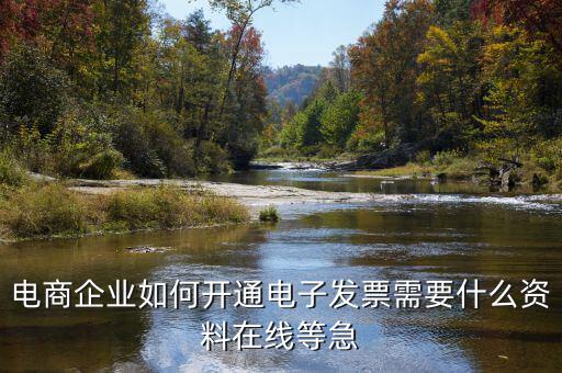 電子發(fā)票如何申領(lǐng)，京東電子發(fā)票如何獲取