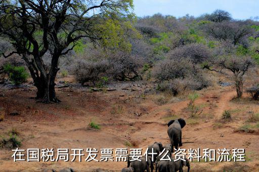 國稅局批票如何辦理，在國稅局開發票需要什么資料和流程