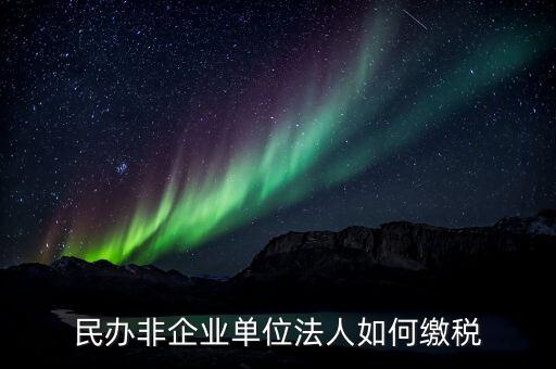民辦非企業單位法人如何繳稅