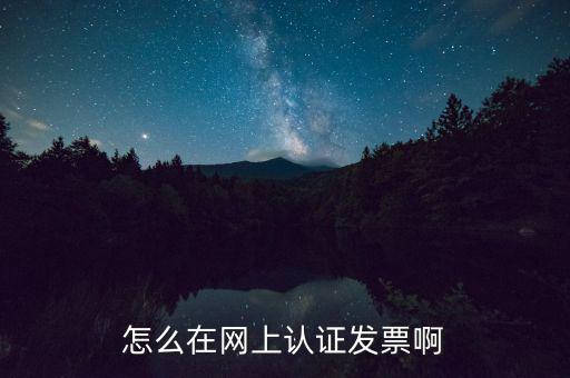 怎么在網上認證發票啊