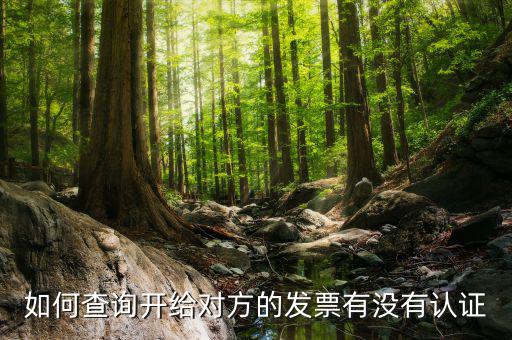 如何查詢發票認證信息查詢，如何查詢開給對方的發票有沒有認證