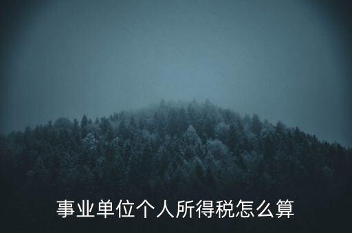 事業單位個人所得稅怎么算