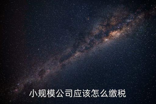小規模公司應該怎么繳稅