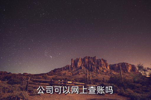 公司可以網上查賬嗎