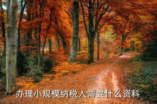小規模納稅人如何辦理，小規模廠如何辦理一般納稅人