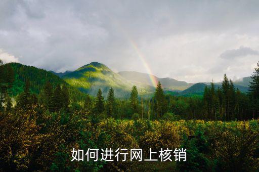 如何進行網上核銷