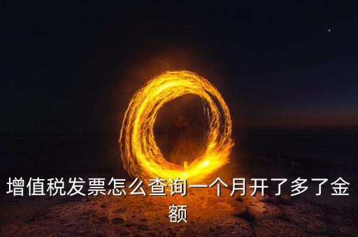 增值稅發票怎么查詢一個月開了多了金額