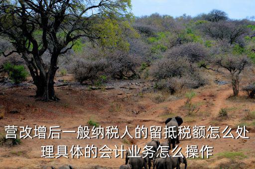營改增后一般納稅人的留抵稅額怎么處理具體的會計業務怎么操作