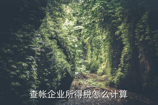 企業所得稅如何查賬，企業所得稅計算 查賬法