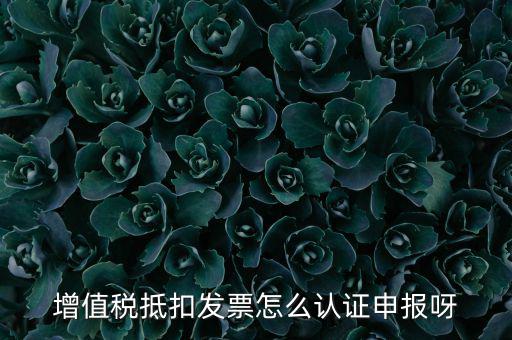 如何認證抵扣發票，增值稅抵扣發票怎么認證申報呀