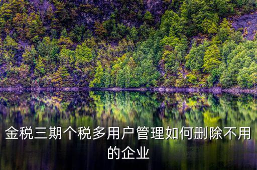 金稅三期個稅多用戶管理如何刪除不用的企業