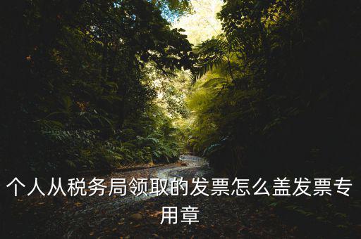 個人從稅務局領取的發票怎么蓋發票專用章