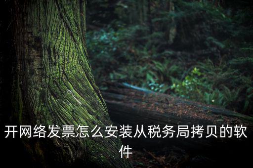 開網絡發票怎么安裝從稅務局拷貝的軟件