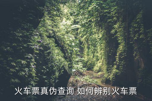 火車票真偽查詢 如何辨別火車票