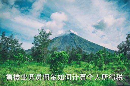 售樓業務員傭金如何計算個人所得稅