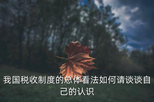 如何讓看待我國稅收改革，我國稅收制度的總體看法如何請(qǐng)談?wù)勛约旱恼J(rèn)識(shí)