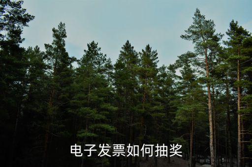 發票如何登記抽獎，發票怎么抽獎