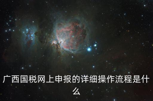 廣西國稅地稅如何網上申報系統，國稅網上怎么申報