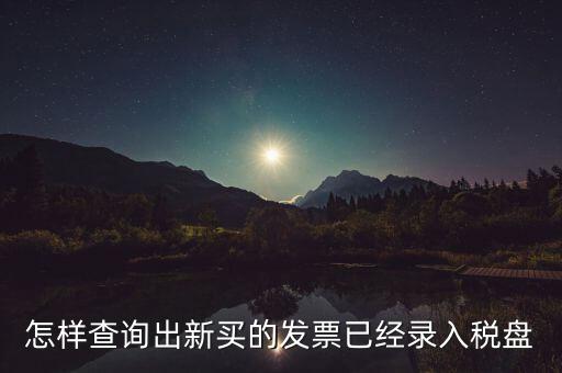 怎樣查詢出新買的發票已經錄入稅盤