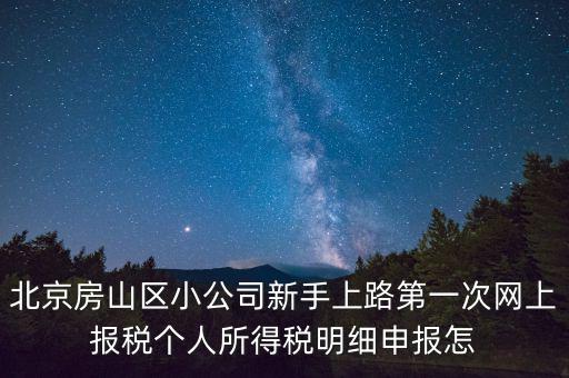 北京房山區小公司新手上路第一次網上報稅個人所得稅明細申報怎
