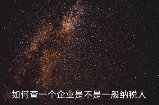 如何查一個企業是不是一般納稅人