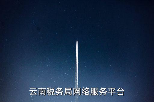 云南省網上稅務局如何下載，網上辦稅服務廳怎么下載