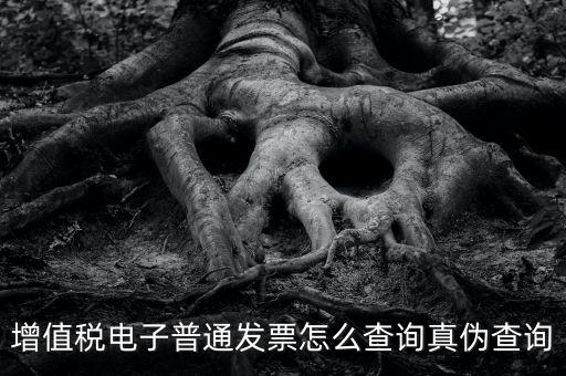 增值稅電子普通發票怎么查詢真偽查詢
