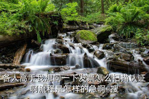 如何使用掃描儀認證發(fā)票嗎，各人高手我想問一下發(fā)票怎么掃描認證啊流程是怎樣的急啊  搜