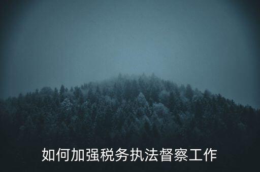 如何加強稅務執法督察工作