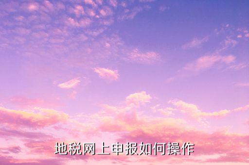 地稅網上申報如何操作