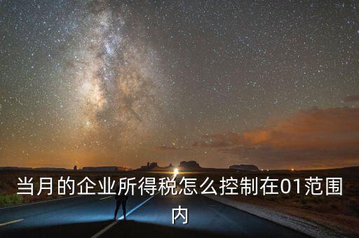 當月的企業所得稅怎么控制在01范圍內