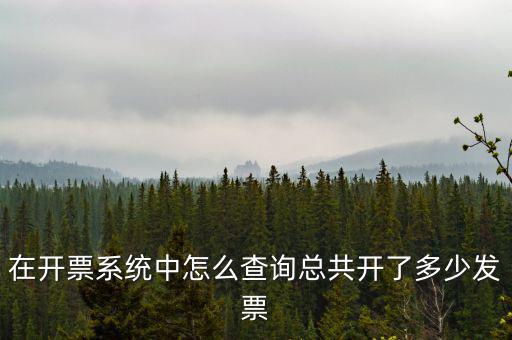 在開票系統中怎么查詢總共開了多少發票