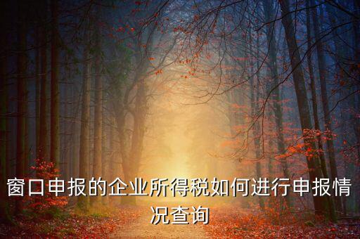 窗口申報的企業所得稅如何進行申報情況查詢