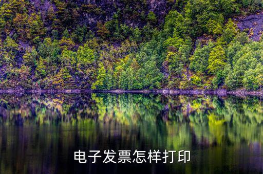 pdf如何打印電子發票，電子發票怎樣打印