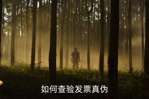 如何查驗發票真偽
