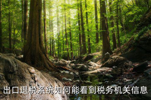 出口退稅系統如何能看到稅務機關信息