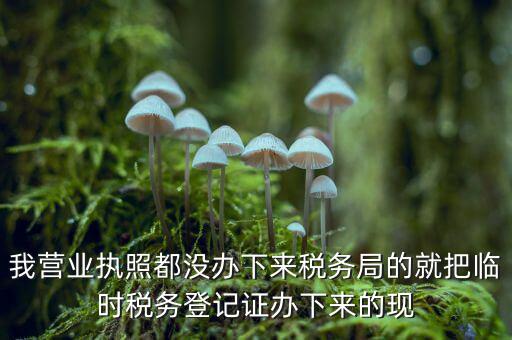我營業執照都沒辦下來稅務局的就把臨時稅務登記證辦下來的現