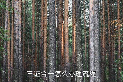 惠州市如何進行三證合一，三證合一怎么辦理流程