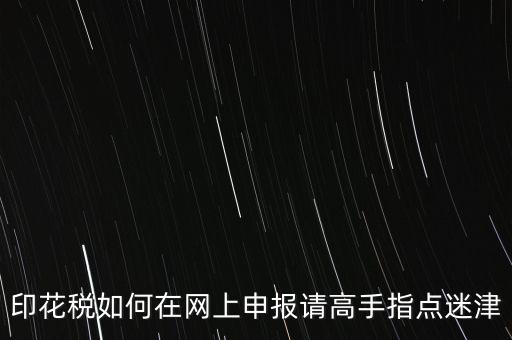 印花稅如何在網上申報請高手指點迷津