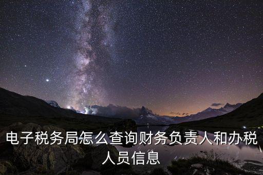 電子稅務(wù)局怎么查詢財務(wù)負責人和辦稅人員信息