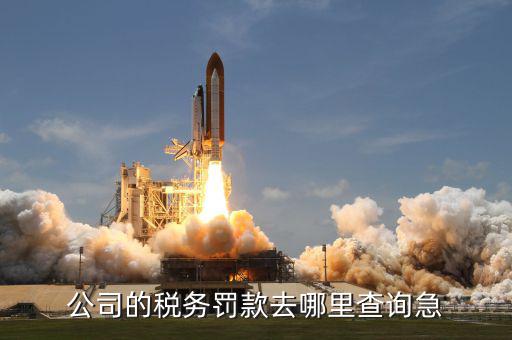 如何查稅收罰款，公司的稅務罰款去哪里查詢急