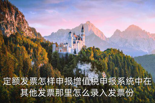 定額發票怎樣申報增值稅申報系統中在其他發票那里怎么錄入發票份