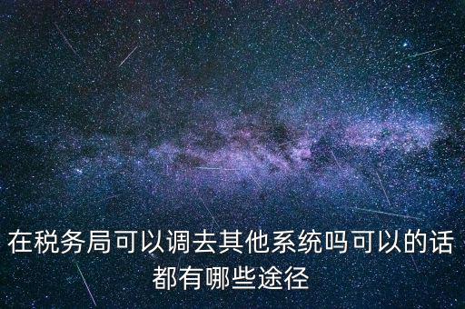在稅務局可以調去其他系統嗎可以的話都有哪些途徑