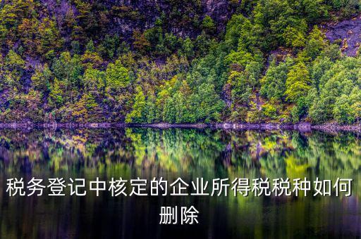 稅務登記中核定的企業所得稅稅種如何刪除