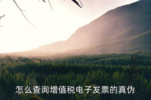 怎么查詢增值稅電子發票的真偽