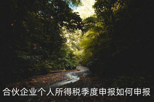 合伙企業個人所得稅季度申報如何申報