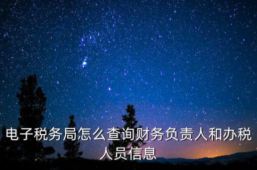 電子稅務局怎么查詢財務負責人和辦稅人員信息